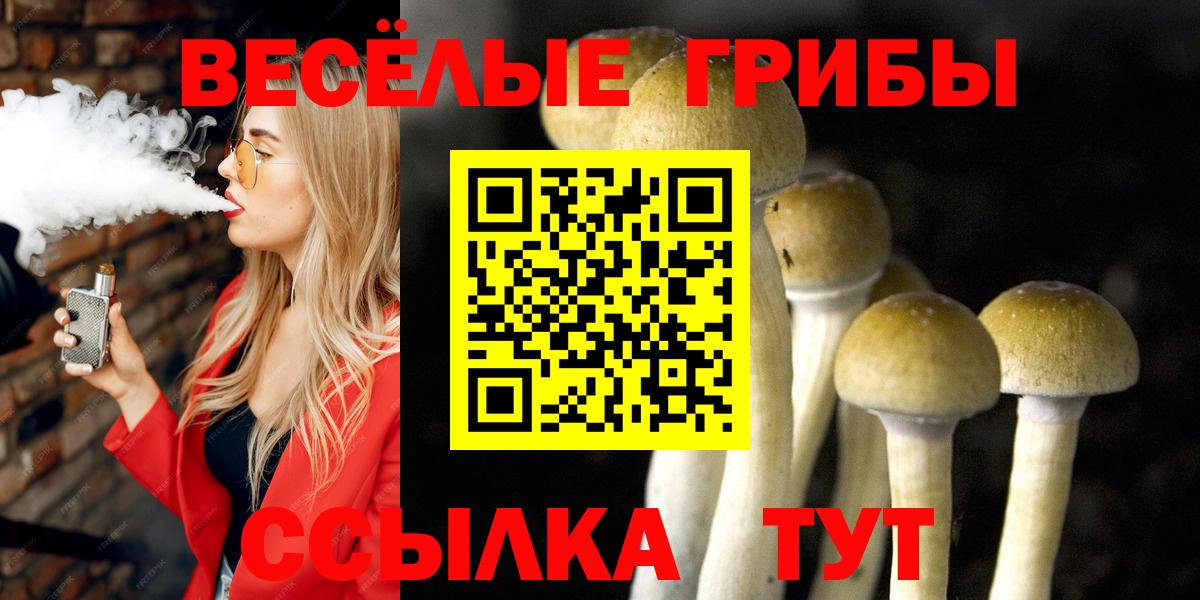 наркошоп  Вход с VPN  Ртищево  Псилоцибиновые грибы Magic Shrooms 